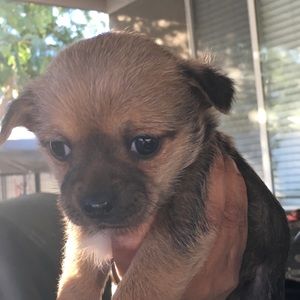 Meet your Posher, Monce